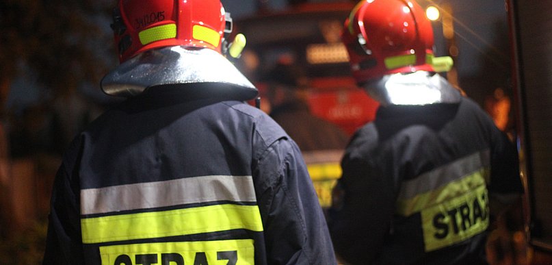 Nietypowa interwncja. Krowa uciekła z obory i spacerowała nocą po chodniku.