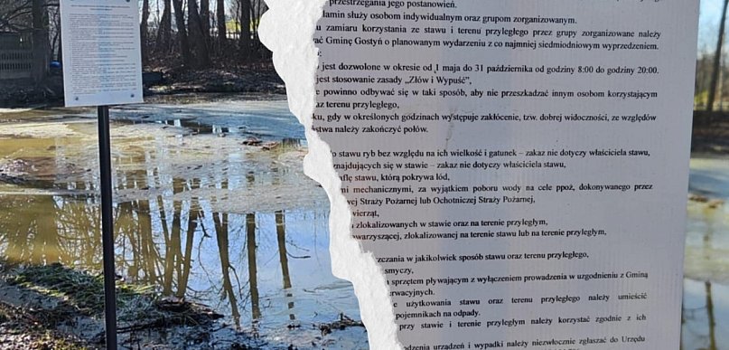 Mieszkańcy dosłownie przecierali oczy ze zdumienia. Tego się nie spodziewali