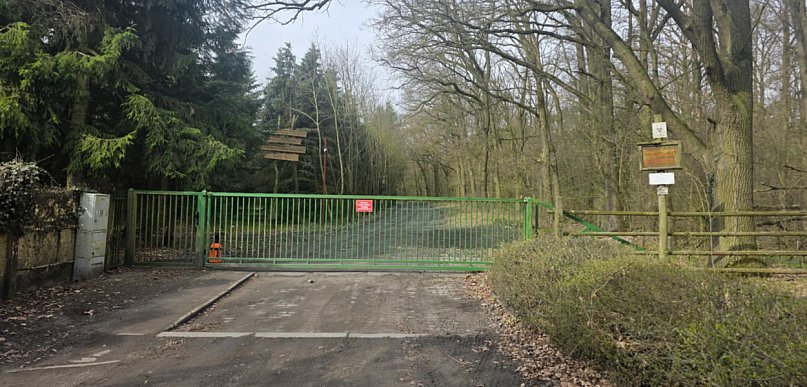 W powiecie gostyńskim wykryto ognisko groźnej choroby. Tysiące bażantów...