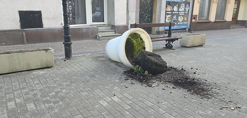 Aż trudno uwierzyć, że komuś się chciało. Nadmiar wolnego czy zwykła głupota?