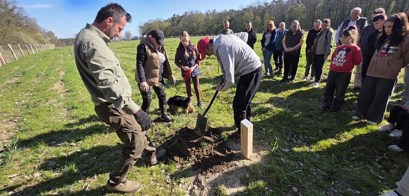 Każdy mógł zostawić ślad na setki lat. Tu wspomnienia zapuszczają korzenie