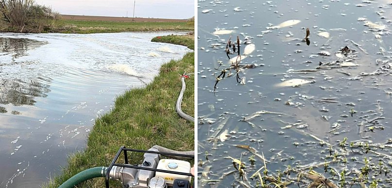 Skażenie pod Piaskami? Woda zmieniła kolor, potem zaczęły wypływać ryby