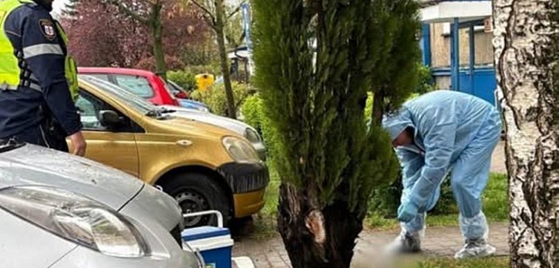 Zgłoszenie z osiedla Wojska Polskiego postawiło służby na równe nogi!