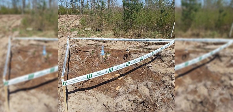 Sadzili las. Natknęli się na coś, co mrozi krew w żyłach. Na miejsce ruszyli...