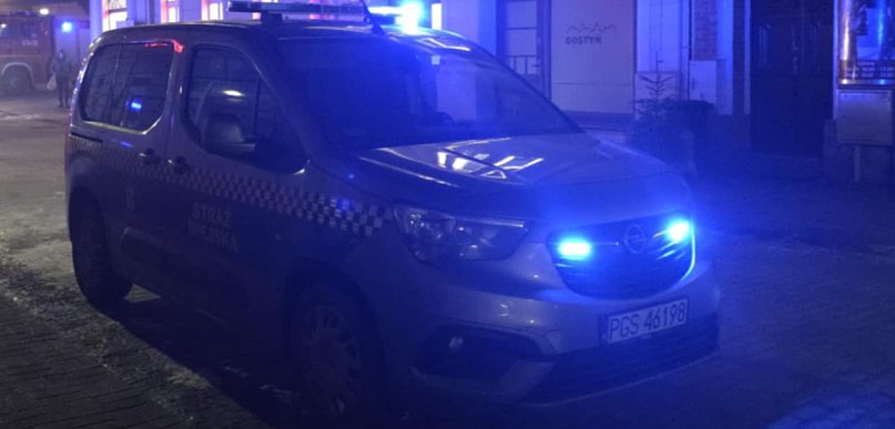 Właścicielka ukarana po wieczornej kontroli. Strażnicy zapowiadają powrót