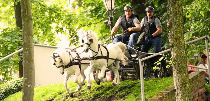 Rokosowo Horse Show! Konie, powozy, zamkowa sceneria i sporo atrakcji...