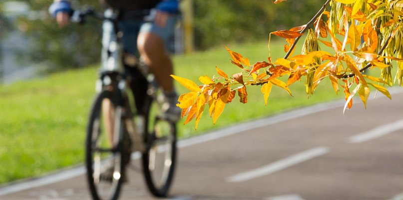 Czy przy ruchliwej drodze powstanie ścieżka rowerowa? Ten głos może coś ... - 82816