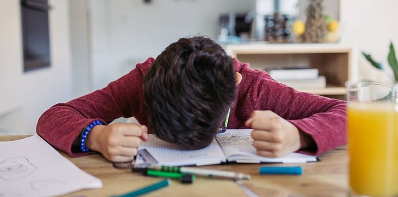 Nie tylko matematyka i polski. Chcą też uczyć dzieci, jak nie dać się emocjom... - 83931