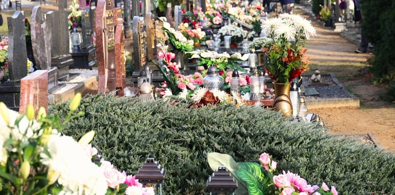 Czy na gostyńskim cmentarzu od lat znikają kwiaty? Niektórzy są o tym przekonani - 84440