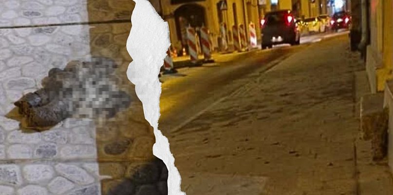 Żenujący ślad wstydu! W centrum miasta, ktoś chyba zgubił resztki przyzwoitości - 84671