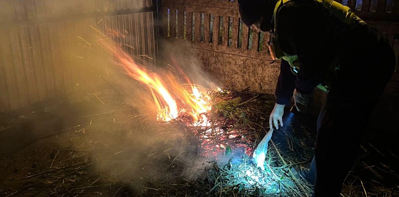 Złapani na gorącym uczynku. Myśleli, że Straż Miejska o tej godzinie nie pracuje - 84975