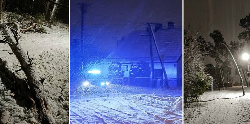 Służby nie nadążały. Drzewa pękały. W wielu miejscach zabrakło prądu... - 85092