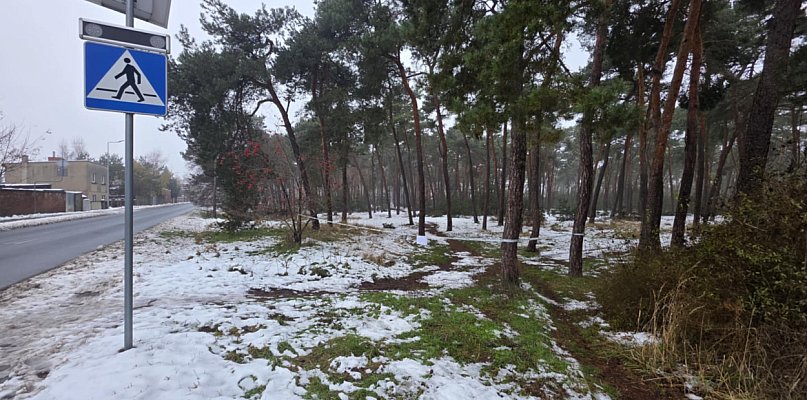 Niebezpieczeństwo wisi w powietrzu. Formalnego zakazu nie ma, ale lepiej ... - 85239