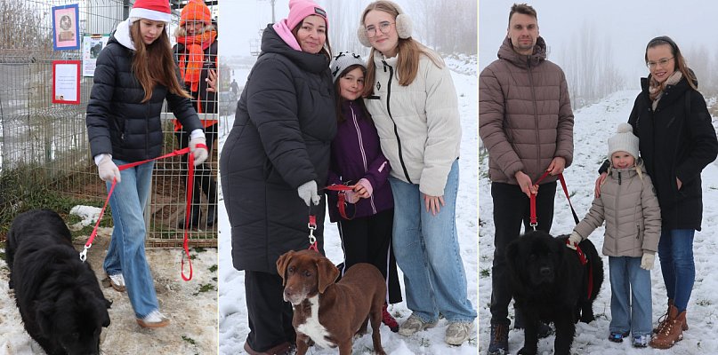 To był przedsmak świątecznej magii. Chcieli, by były zauważone. Udało się! - 85224