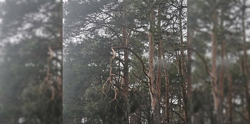 Twierdzi, że jazda a drogą to jak "oszukać przeznaczenie" Nie wierzy, że nikt... - 85725