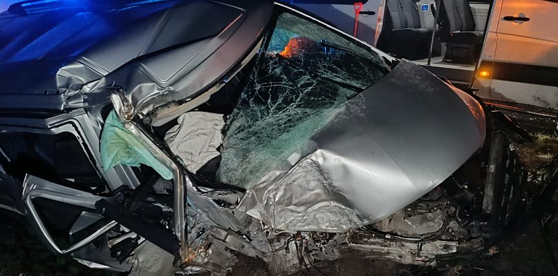 Chwila nieuwagi, łuk drogi i nagłe "coś" w ciemności. Kierowca wjechał prosto w... - 86013