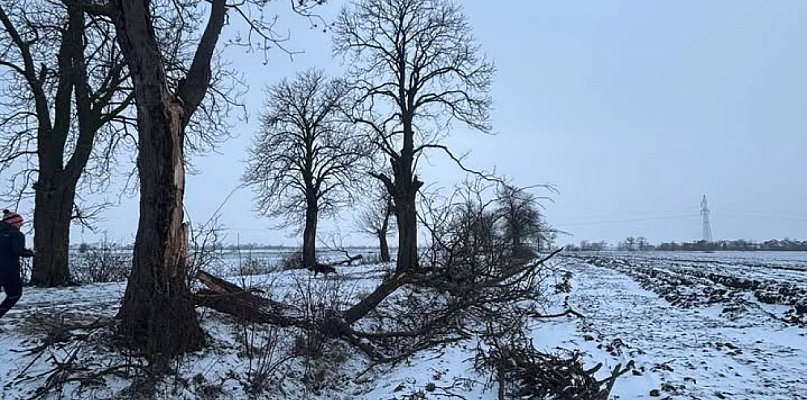 To co zobaczyła przy drodze, bardzo ją zaniepokoiło. Nie wierzy w przypadek - 86422