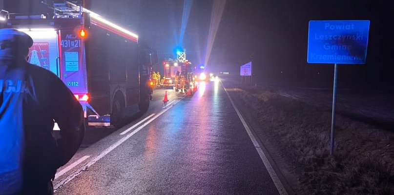 Sarna na drodze, samochód w polu...    20-latek nie zdołał opanować auta