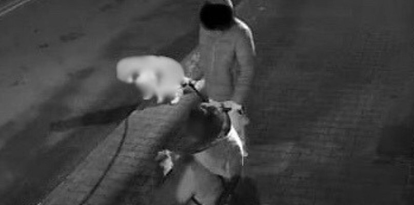 Wrzuciła to zdjęcie do sieci i podpisała... Co było dalej można się tylko domyślać