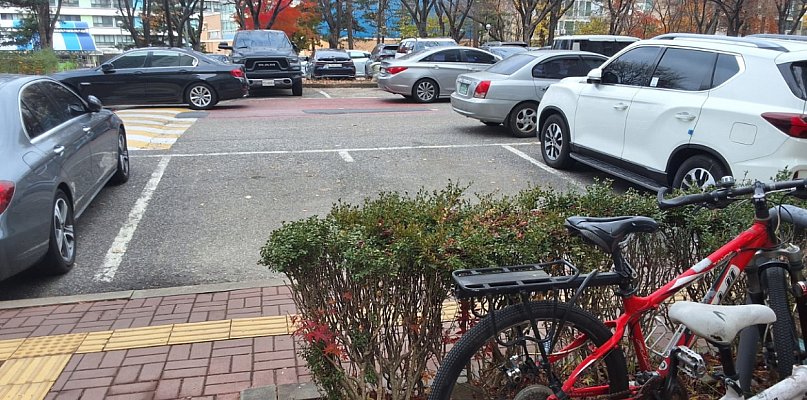 Za każdym razem, chcąc wyrzucić śmieci, musi skakać jak małpa. To nie jedyne...