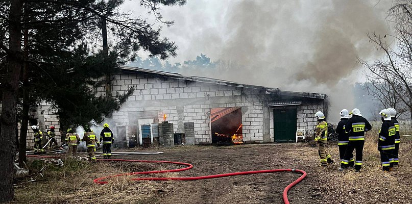 Duża akcja gaśnicza pod Dolskiem. Pomagali strażacy z powiatu gostyńskiego