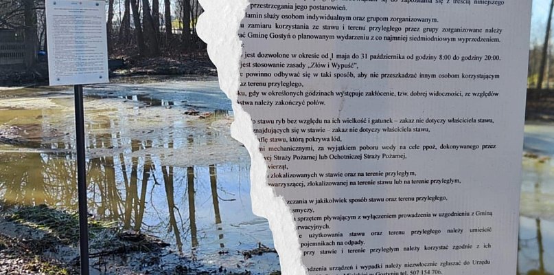 Mieszkańcy dosłownie przecierali oczy ze zdumienia. Tego się nie spodziewali