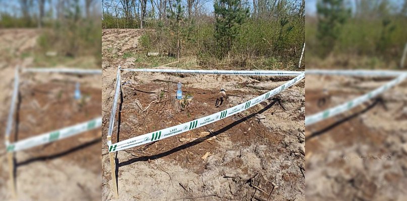 Sadzili las. Natknęli się na coś, co mrozi krew w żyłach. Na miejsce ruszyli...