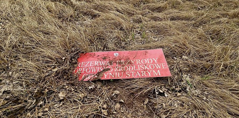 Rezerwat tylko na papierze? Dziś trwa dyskusja, co z tego miejsca zostało