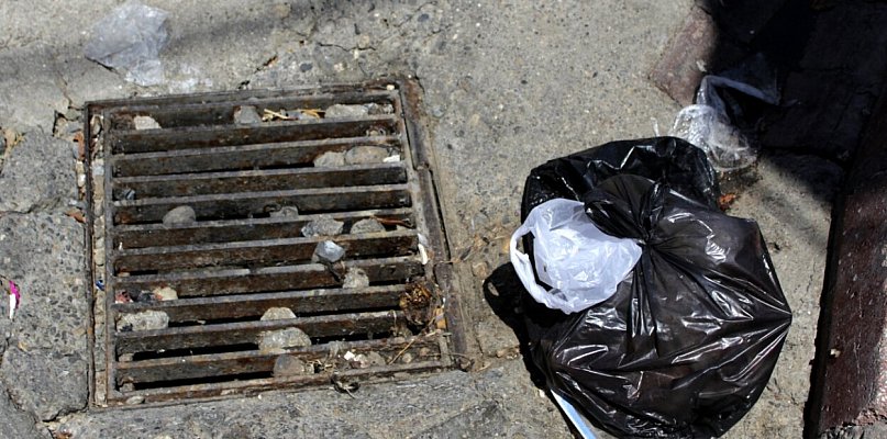 Skończy się świętowanie, zacznie odszczurzanie! To będzie akcja na szeroką skalę