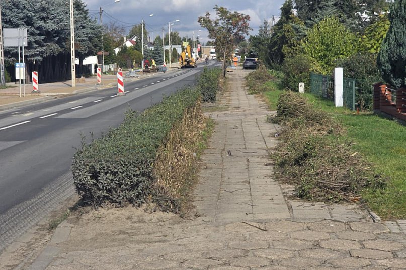 Żywopłoty przy ul. Poznańskiej w Gostyniu