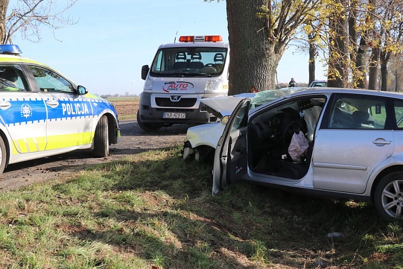 Na trasie Pogorzela - Wziąchów, auto uderzyło w drzewo