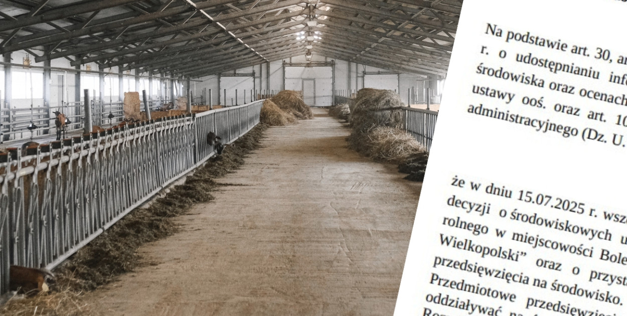Foto ilustracyjne : Canva/Fotomontaż