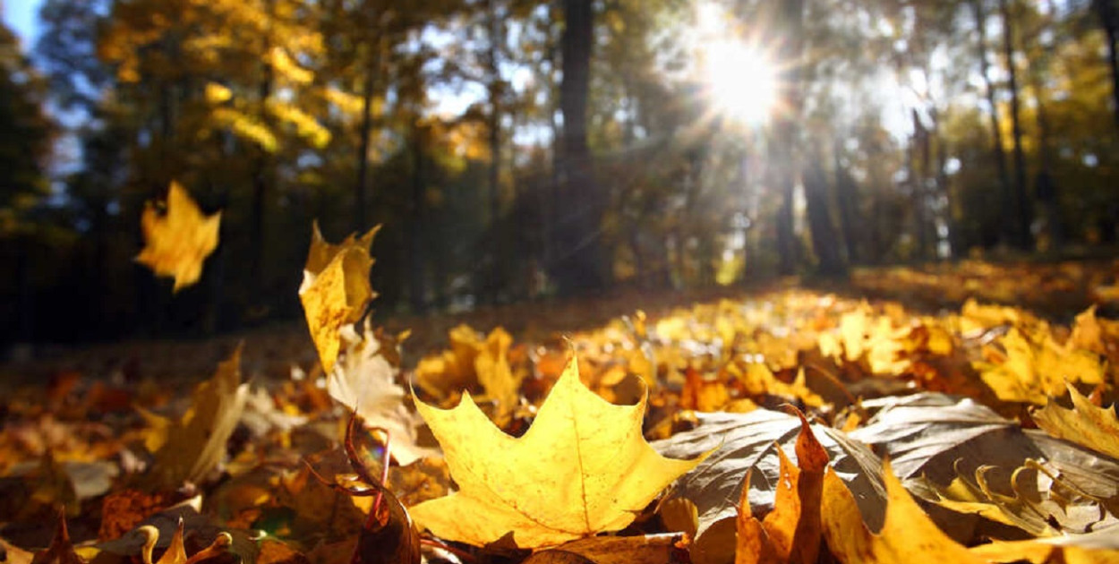 Gdzie warto wybrać się na długi weekend listopadowy w Polsce?