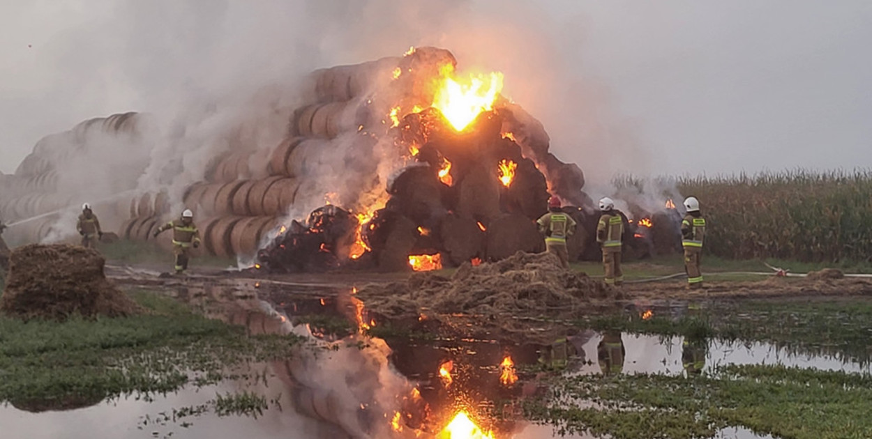 Foto: Portal Śremski