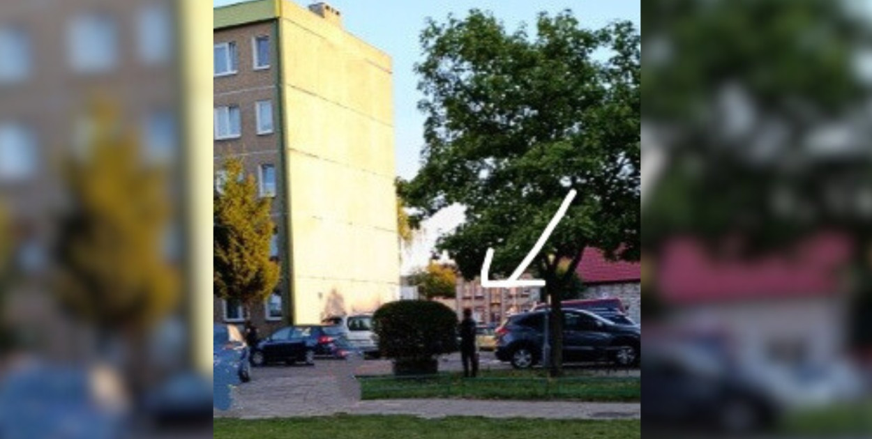 Foto: Czytelnik/Fotomontaż