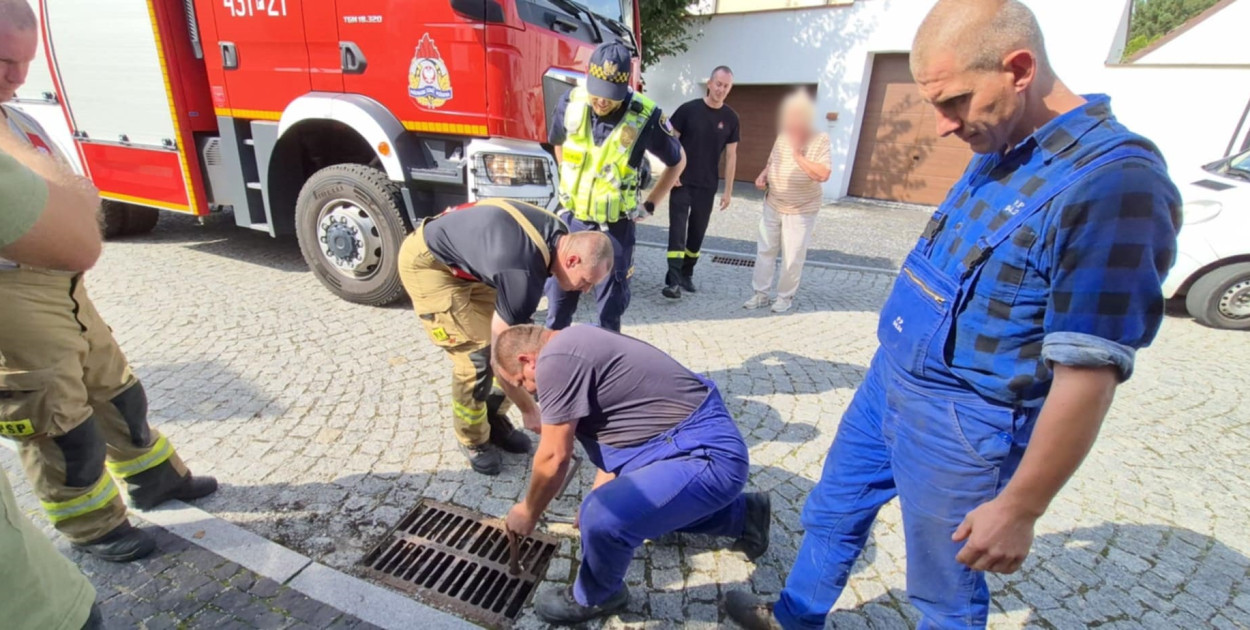 Foto: Straż Miejska Gostyń