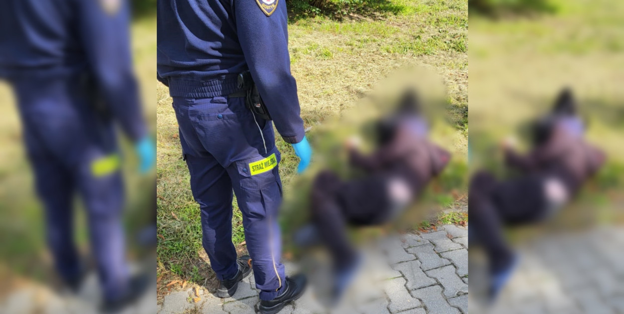 Foto: Straż Miejska Gostyń