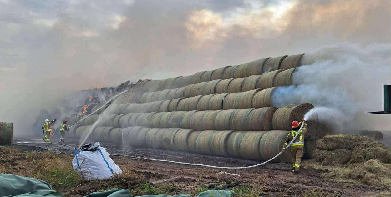 Foto: Rzeczkrotoszynska.pl