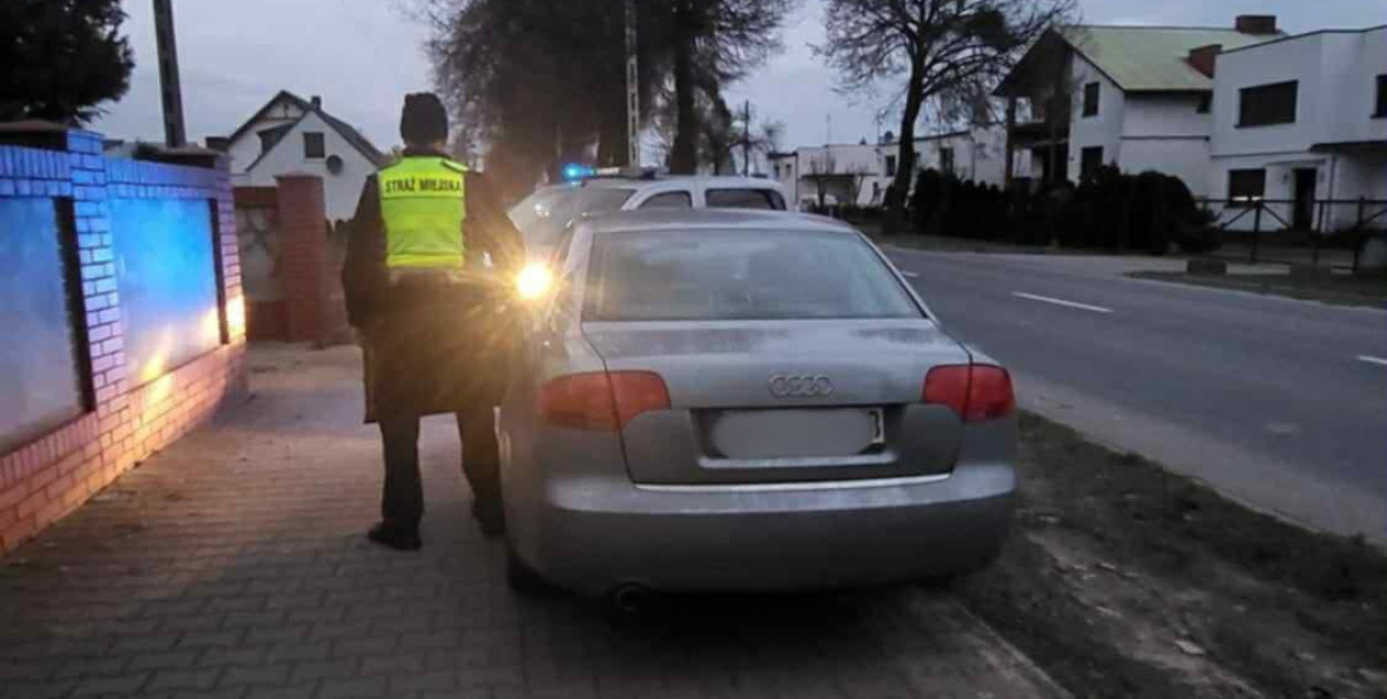 Foto: Straż Miejska Gostyń