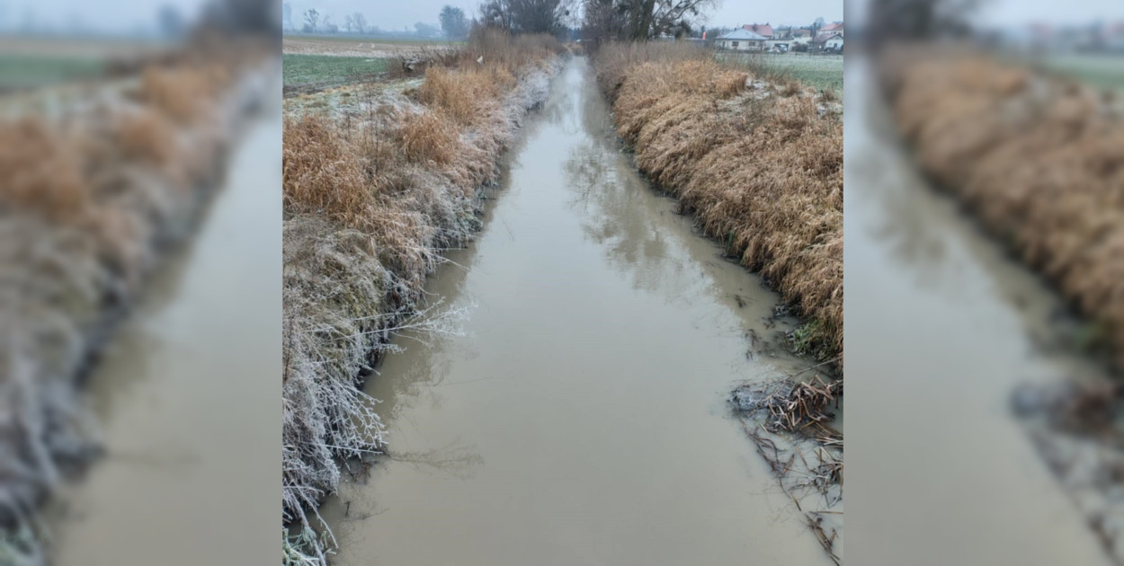 Foto: Czytelnik Gostyn24