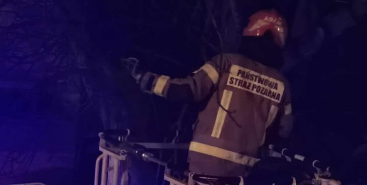 Foto: Czytelniczka Gostyn24