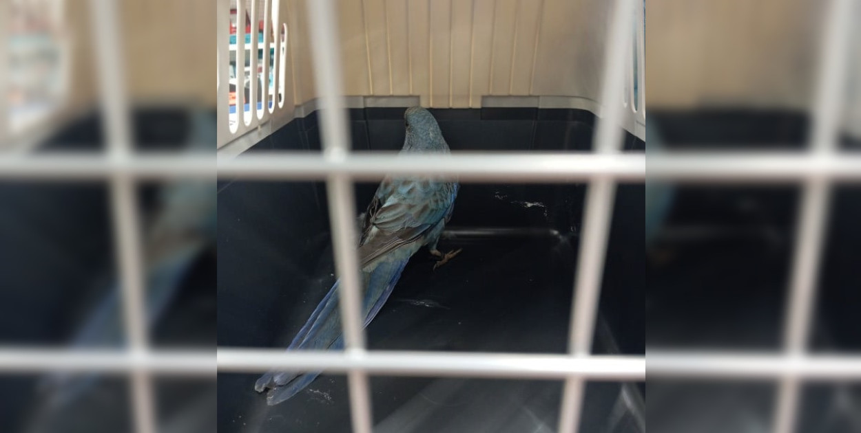 Foto: Spotted Gostyn24