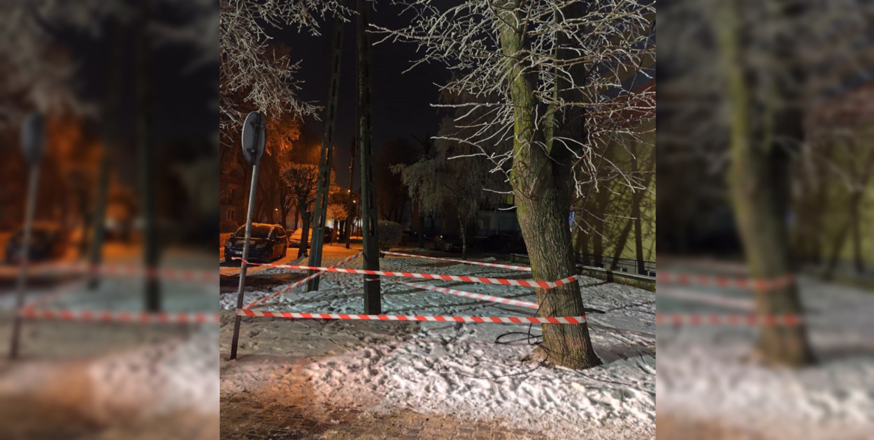 Foto: Straż Miejska Gostyń