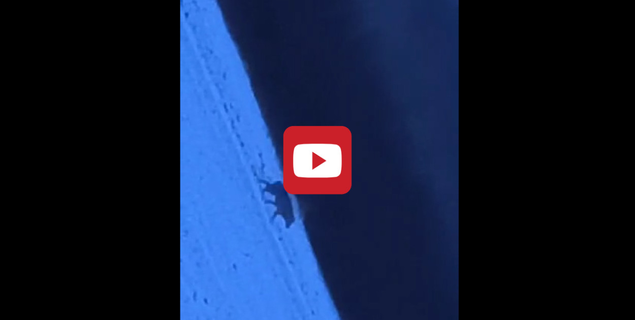 Foto: Screen Nagranie Czytelniczka Gostyn24, Fotomontaż Gostyn24