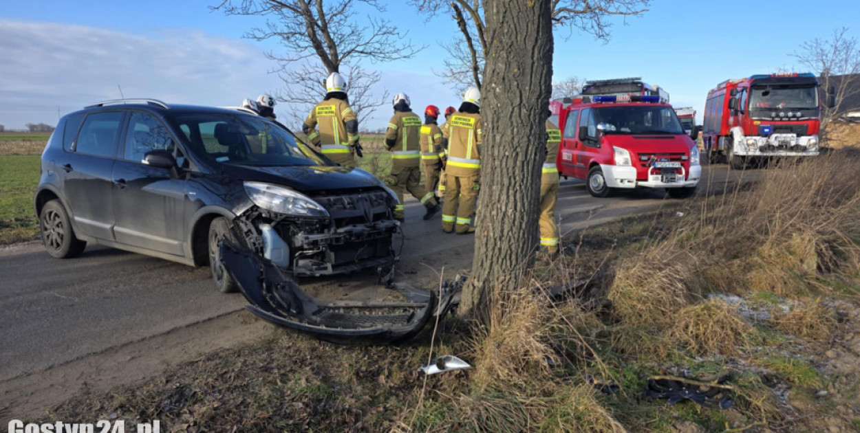Uderzył w drzewo, był nieprzytomny... Dopiero teraz wyniki badań ujawniły prawdę