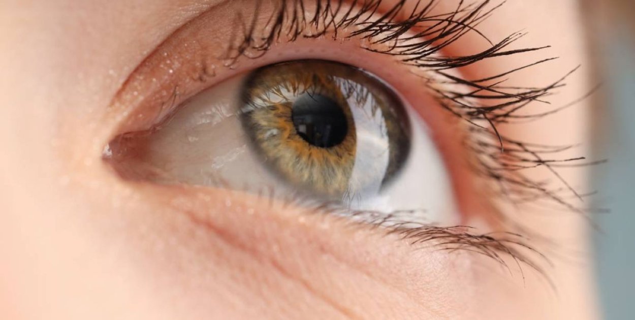 Leczenie jaskry u dorosłych – na co zwrócić uwagę na każdym etapie choroby