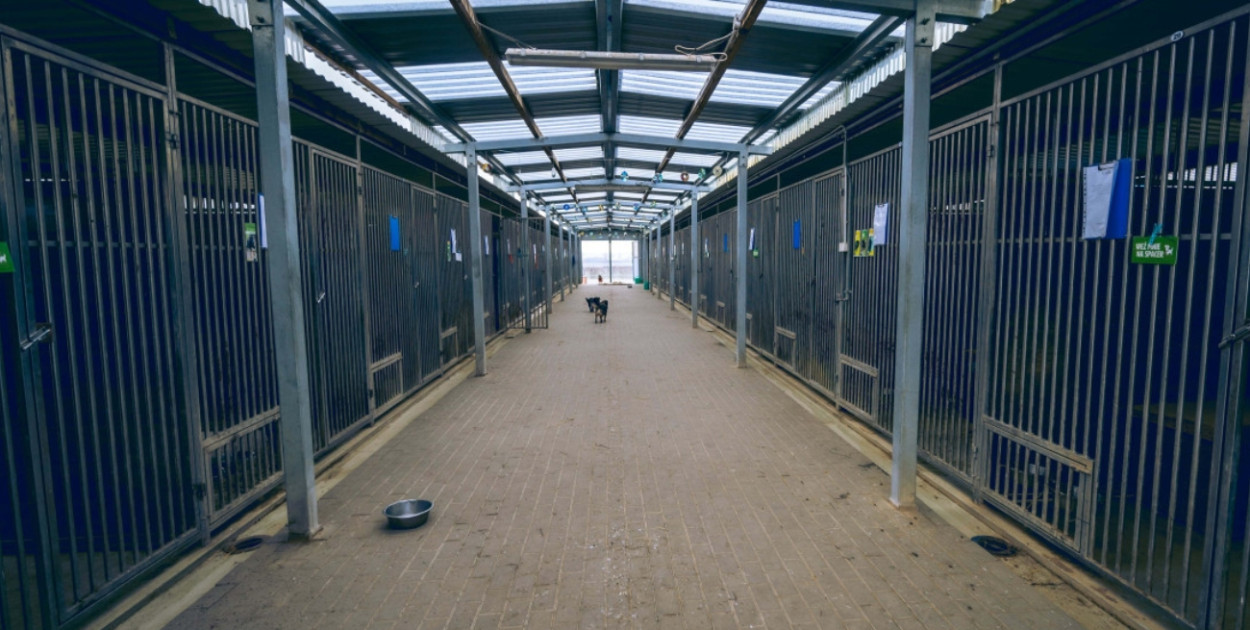 Aż trzy kontrole w zaledwie tydzień. Schronisko stawia sprawę jasno...