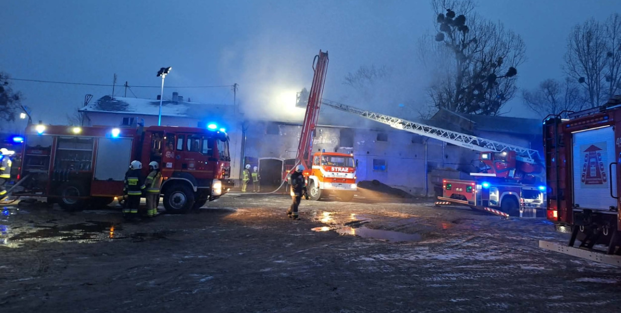 Płonął budynek inwentarski! W środku 70 sztuk bydła. Sytuacja była poważna