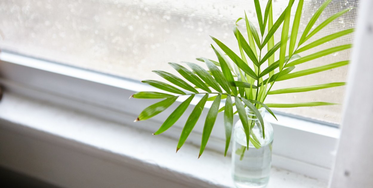 Wilgotność powietrza w domu – jaki poziom jest zdrowy i dlaczego ma znaczenie?