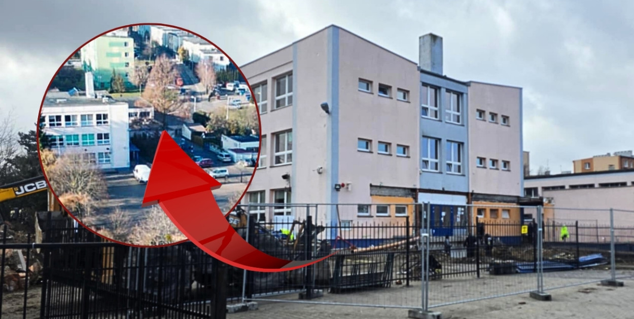 Przez lata urosła do rangi symbolu szkoły. Dlaczego metasekwoja zniknęła?